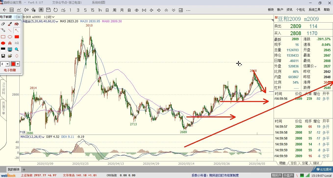 解锁新市场!梅州观赏鱼 “游” 进马来西亚